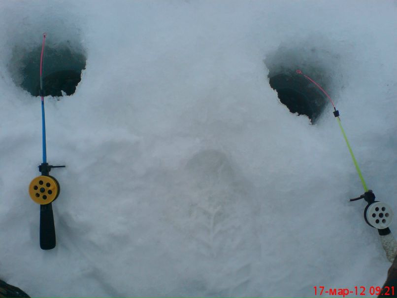 Роман Кирпичёв | Кострома