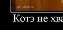 Дима Харлай фото со стены #390