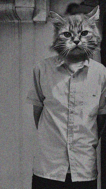 Александр Русс | Каменец-Подольский