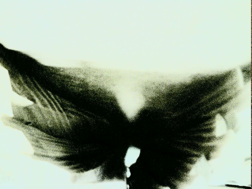 Vanessa Sensei | Санкт-Петербург