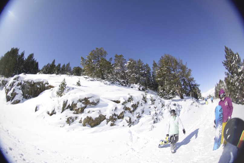 Дима Лапатанов | 