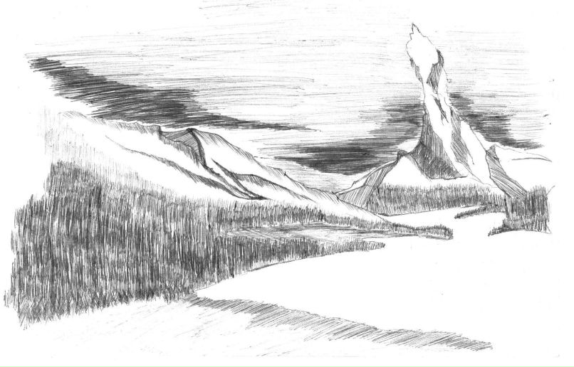 Айдер Велиляев коала | Зуя