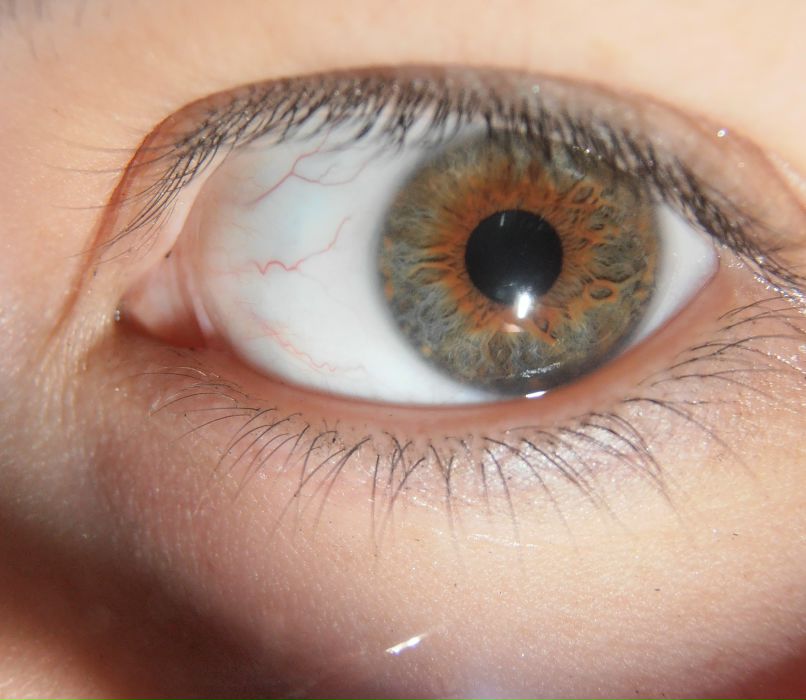 Екатерина Балдина | Ярославль