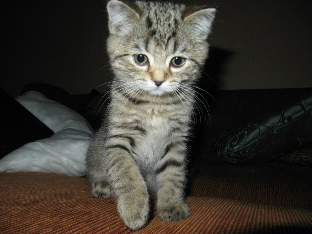 Вероника Губанова | Новокузнецк