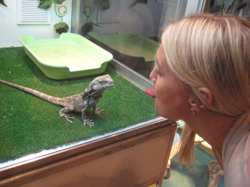 Алёна Прозорова | 