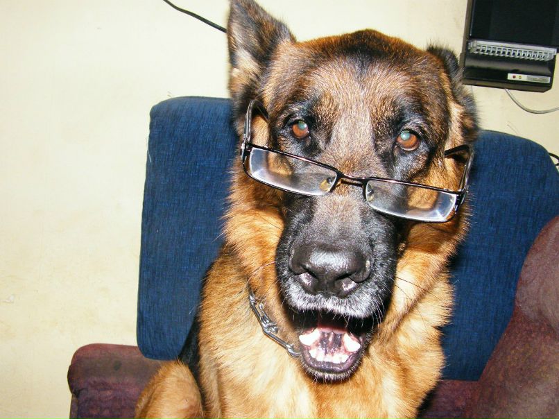 Андрей Коблов | Москва