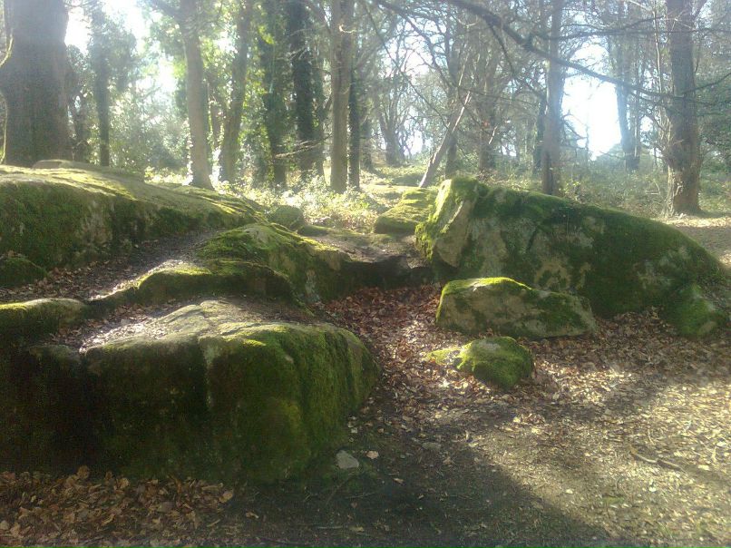 Jarek Zebrowski | Bessbrook