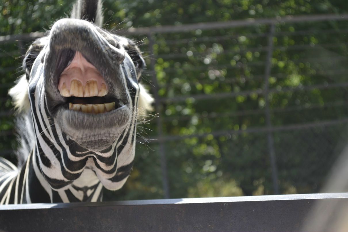 Вадим Дылдин | Санкт-Петербург