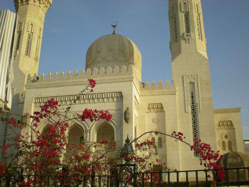 Александр Подхватилин | Волгоград