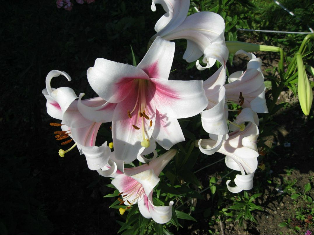 Евгения Рослякова | Санкт-Петербург