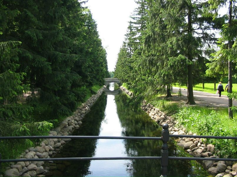 Давид Джачвадзе | Санкт-Петербург