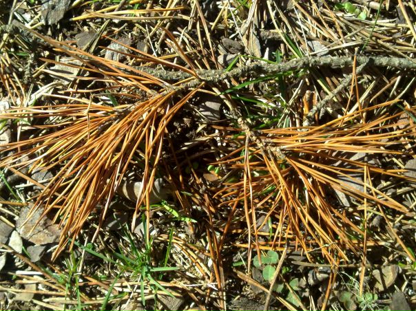 №84, Глеб Черненко, 40 лет, Москва №84, Глеб Черненко, 40 лет, Москва