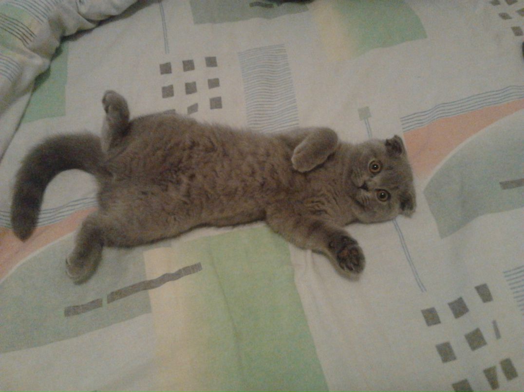 Марина Новикова | Минск