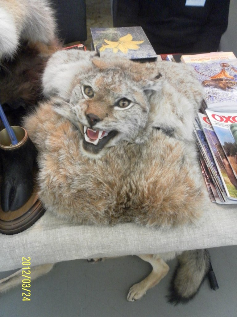 Артем Смирнов | Санкт-Петербург