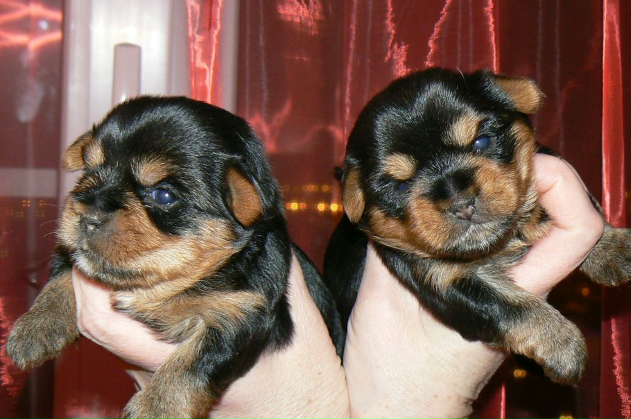 №14, Наталья Козлова №14, Наталья Козлова