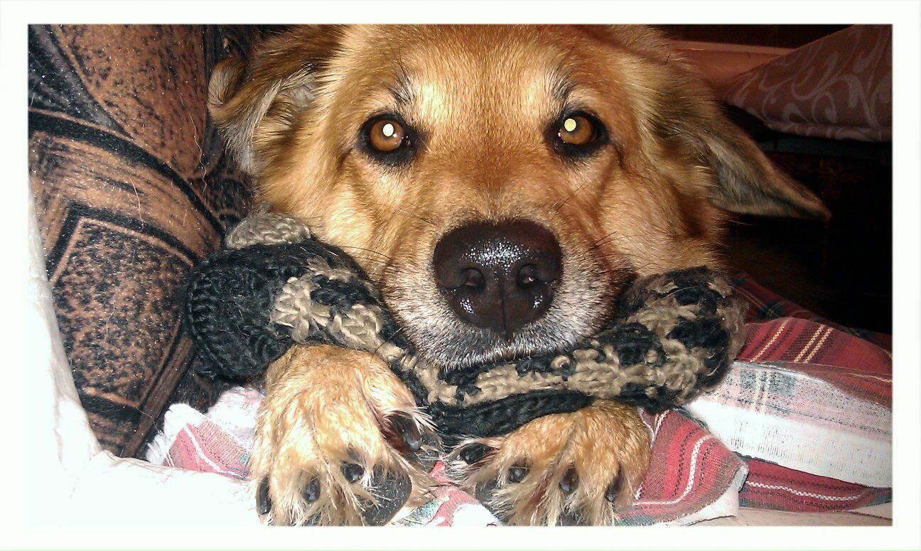 Елена Макарычева | Санкт-Петербург