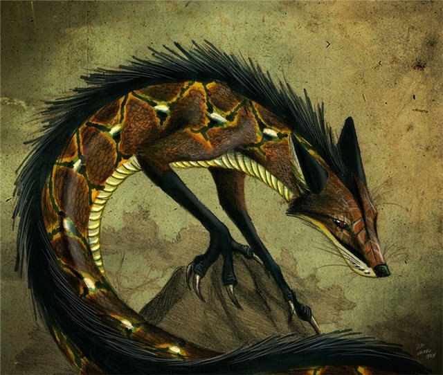 Алексей Чёрный Волк | Санкт-Петербург