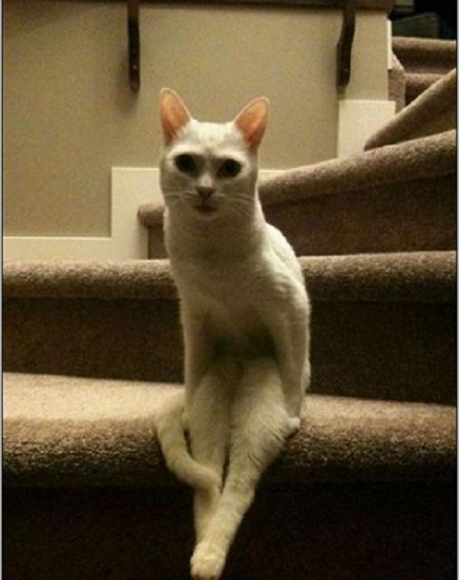 Игорь Сидоров | Усть-Каменогорск