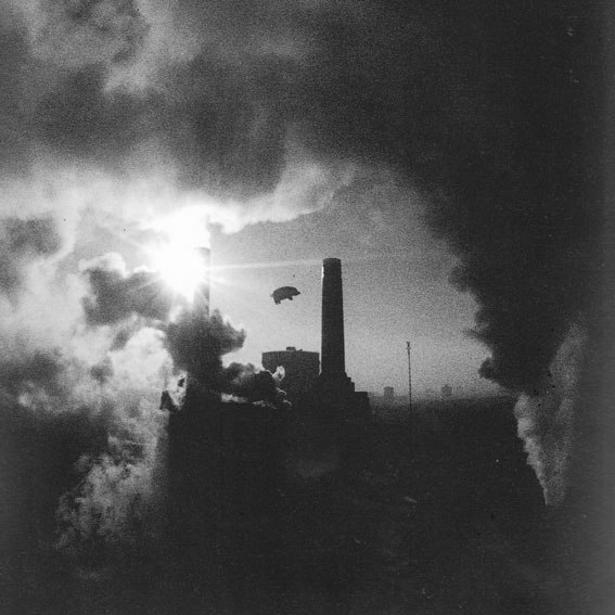 Azamat Al'borov [bassman] | 