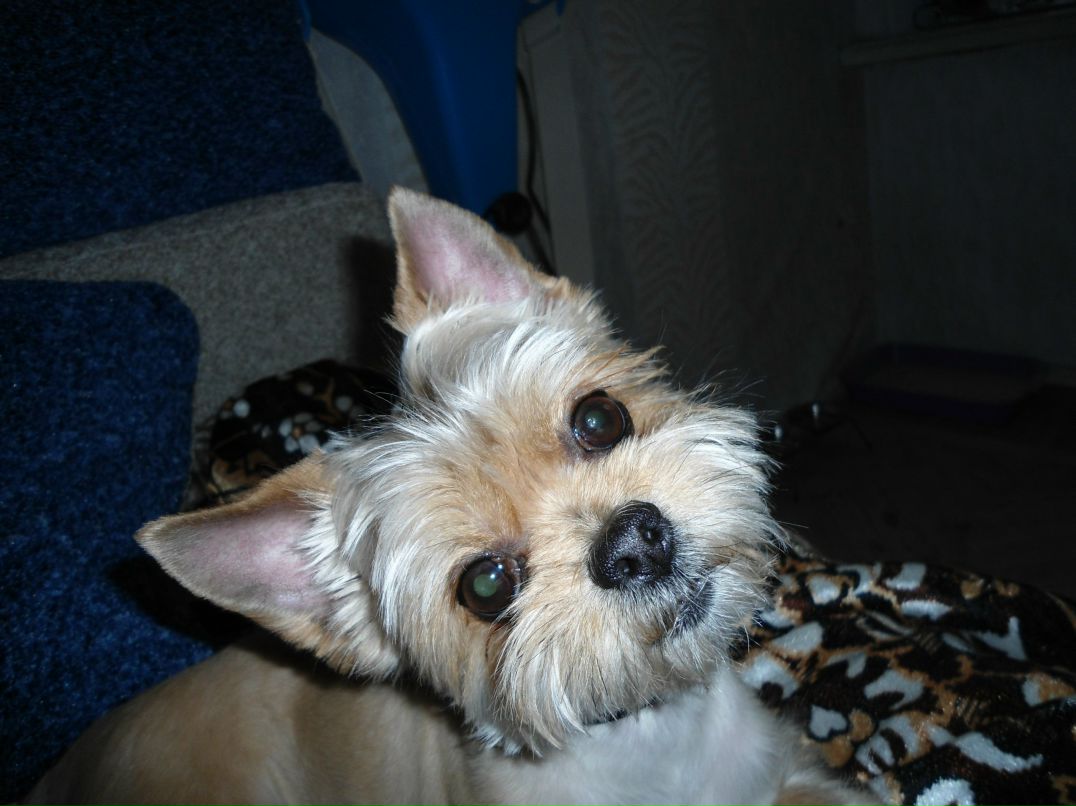 Татьяна Иванова | Санкт-Петербург