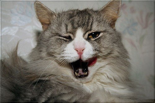 Павел Лобиков | Нижний Тагил