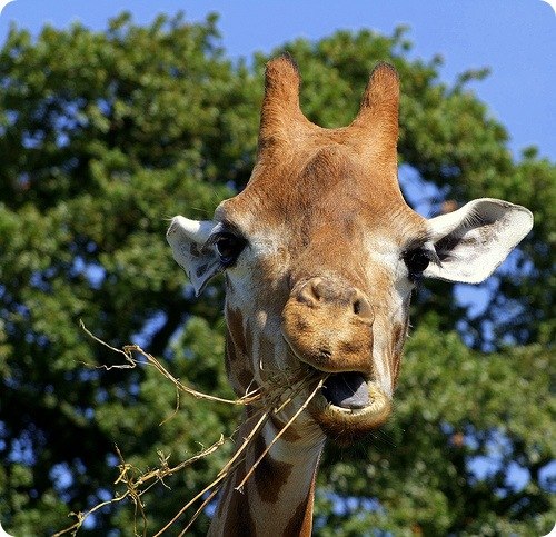 №104, Эльвира Белых, Москва №104, Эльвира Белых, Москва