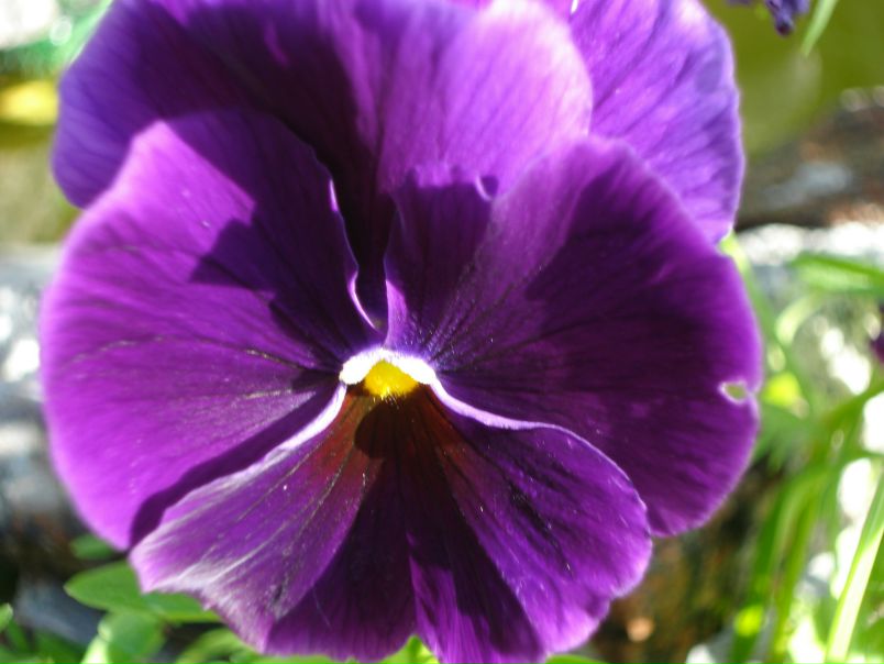 №160, Елена Васильева, 38 лет, Санкт-Петербург №160, Елена Васильева, 38 лет, Санкт-Петербург