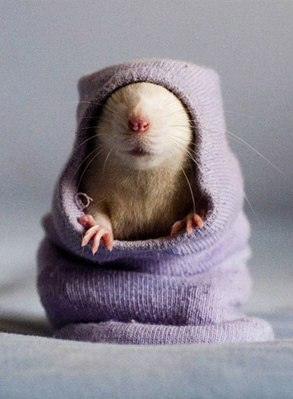 Оксана Санкевич | Белгород-Днестровский