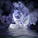 Фотография Вика Хатымова