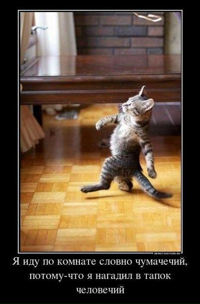 №29, Аня Тараненко, Киев №29, Аня Тараненко, Киев