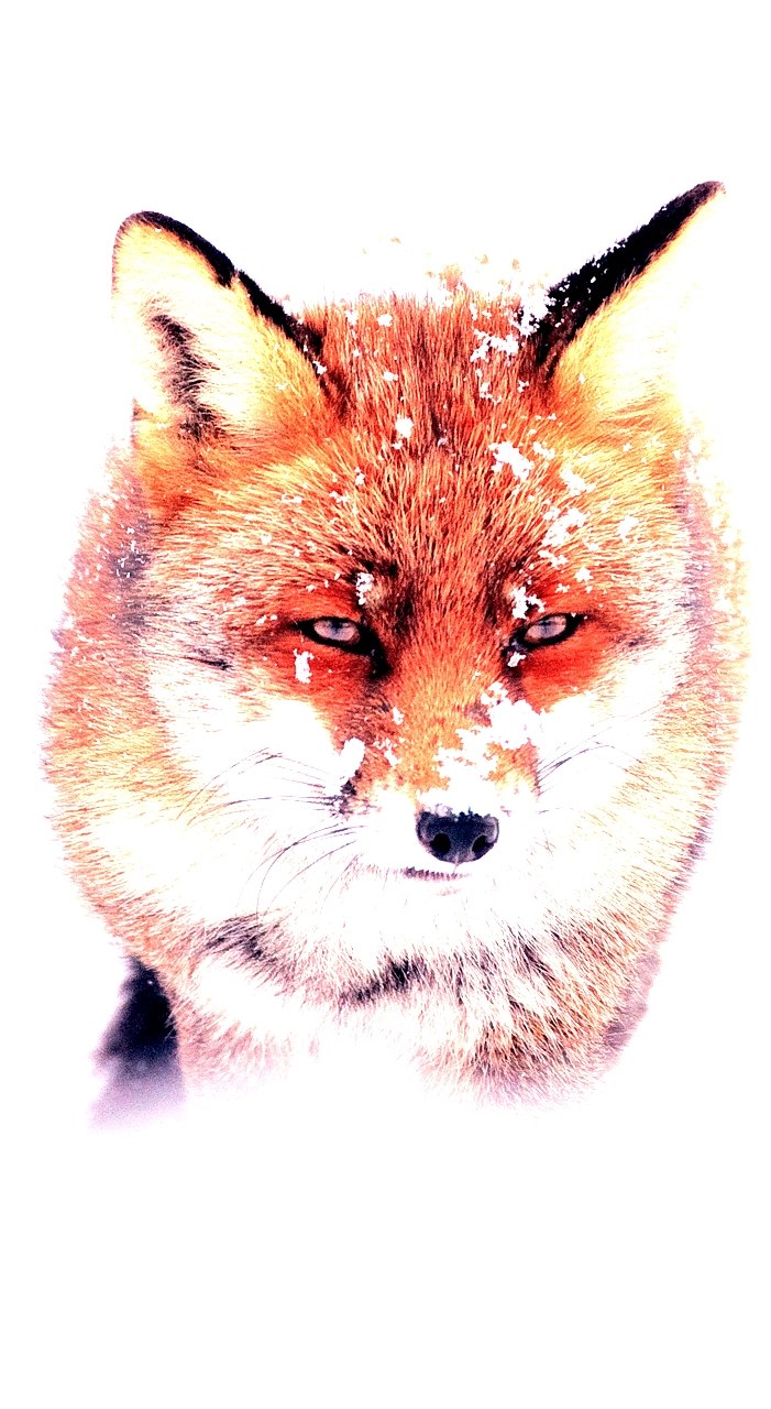 Artem Reznikov | Долгопрудный