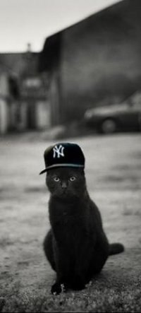 Антон Онучин | 