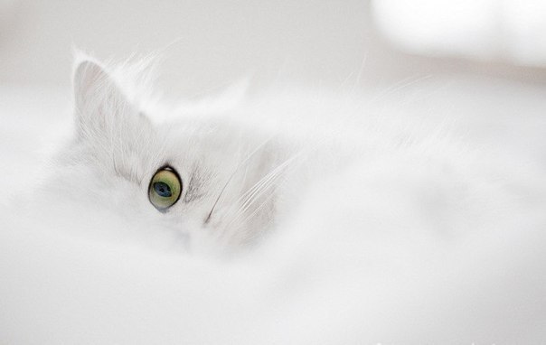 Валентинка Качалова СЕРЬЕЗНО ХОРОШАЯ | Москва