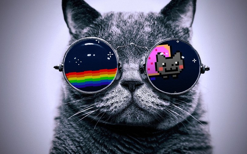 Никита Кит | 