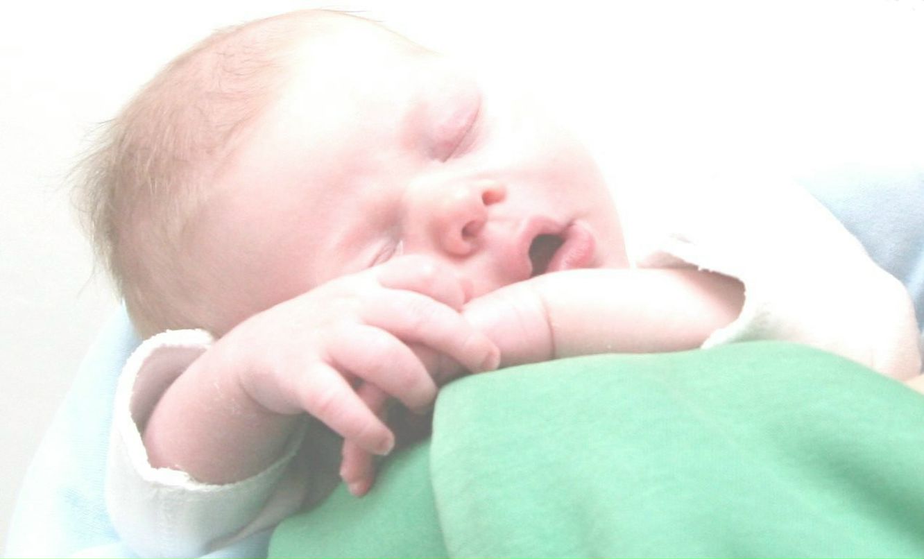 Лена Гутенкова | Иерусалим