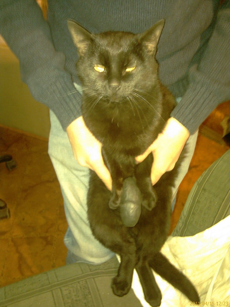 Олег Петров | Москва