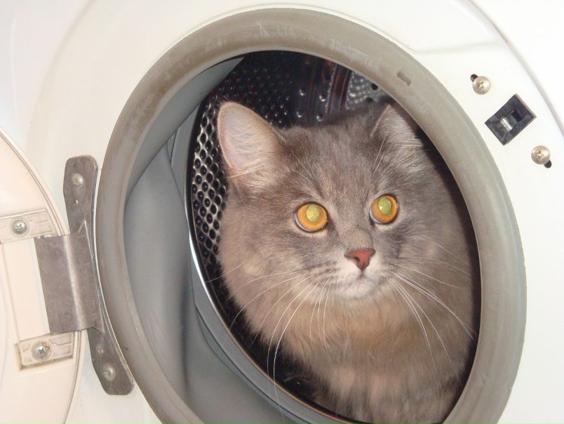 №42, Алексей Зыков, Самара №42, Алексей Зыков, Самара