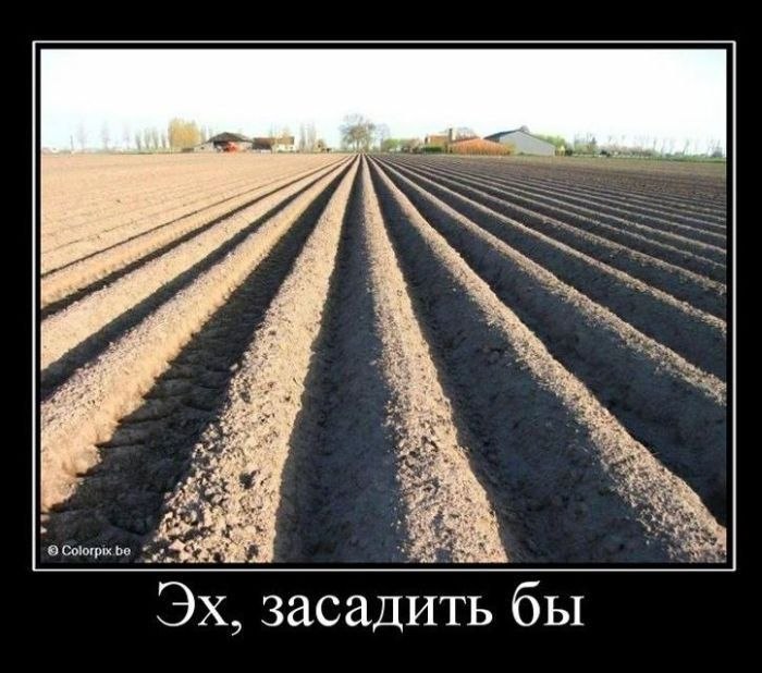 Арсен Иванов | Москва