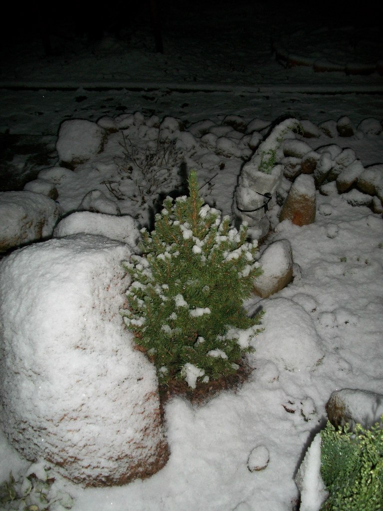 Марина Корнакова | Санкт-Петербург