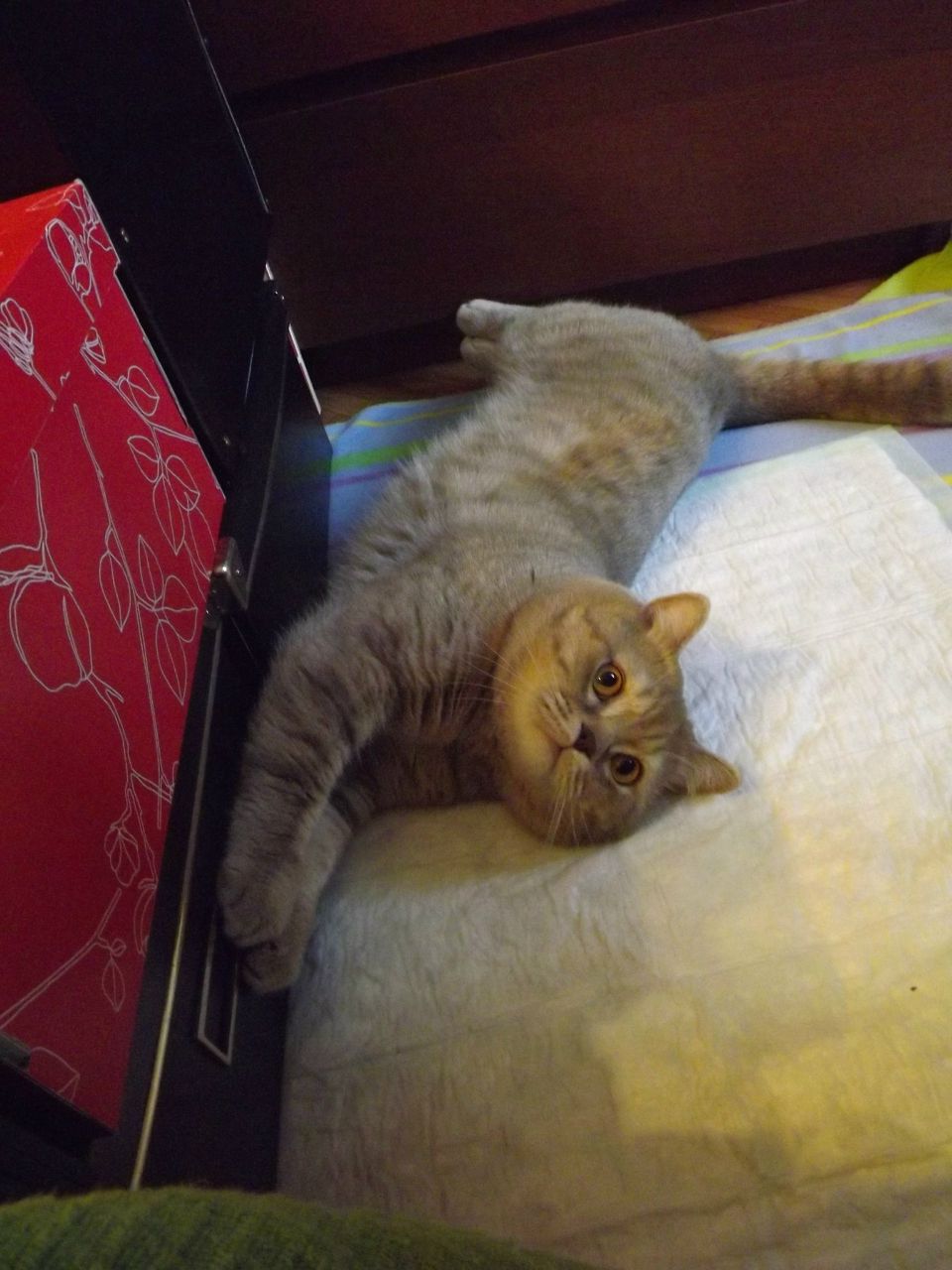 Оксана Морозова | Санкт-Петербург