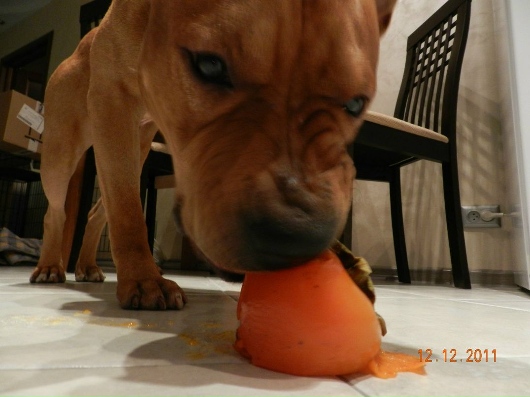 Елена Мазур | Черкассы