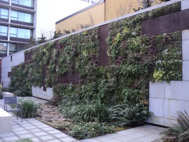 Julia Kondratiev | Ensenada