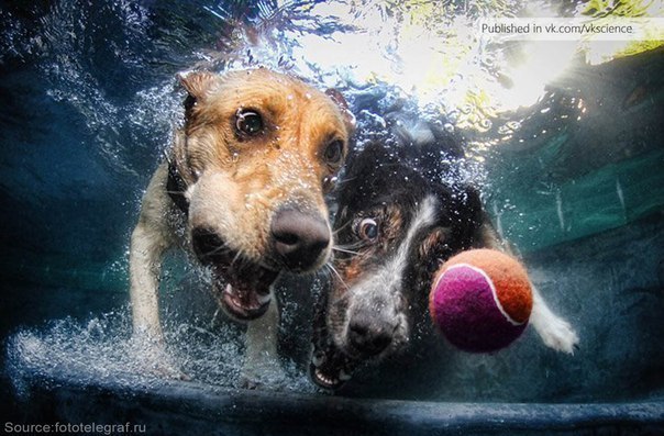 Канат Тустюков | Астана / Нур-Султан