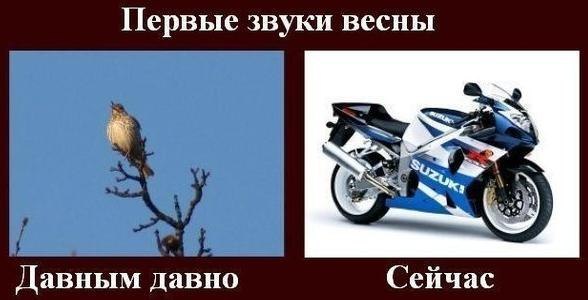 Максим Семенов Вячеславович | Санкт-Петербург