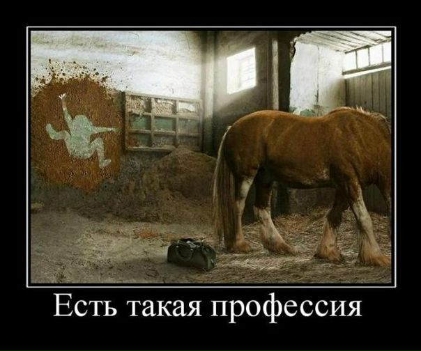 №129, Тамара Викторовна, 101 год, Белгород №129, Тамара Викторовна, 101 год, Белгород