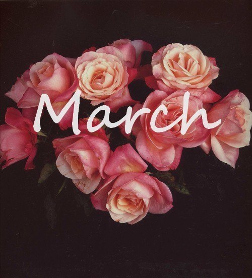 №40, Ольга Сакелари, Одесса №40, Ольга Сакелари, Одесса