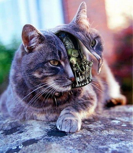 №1, Виктория Кузнецова №1, Виктория Кузнецова