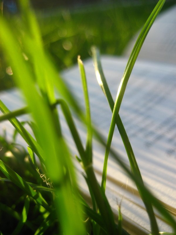 Динара Туйсина | Оренбург