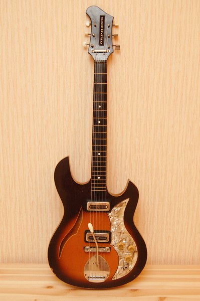 Дмитро Пшевлоцький | Каменское / Днепродзержинск