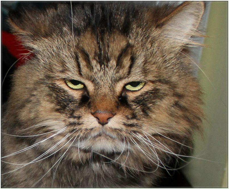 Игорь Сонат | Москва